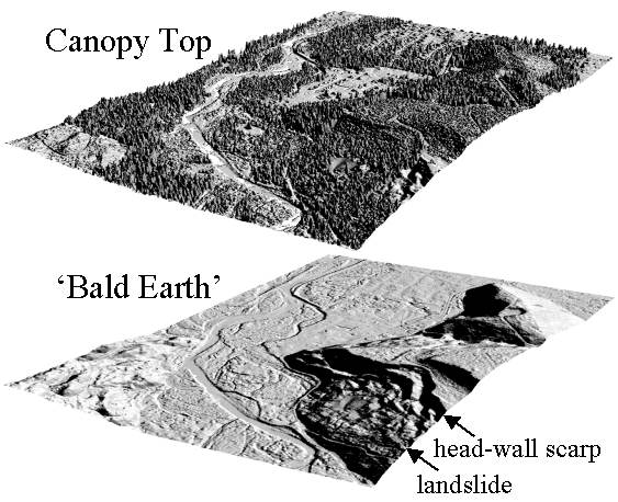  “bald Earth” image reveals a previously unmapped landslide deposit that was hidden beneath the vegetation cover