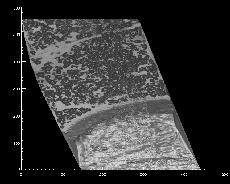 shaded surface image