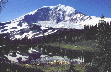 Mt. Rainier