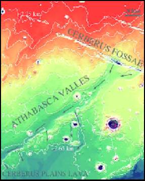 MOLA topographic data in the Cerebus region