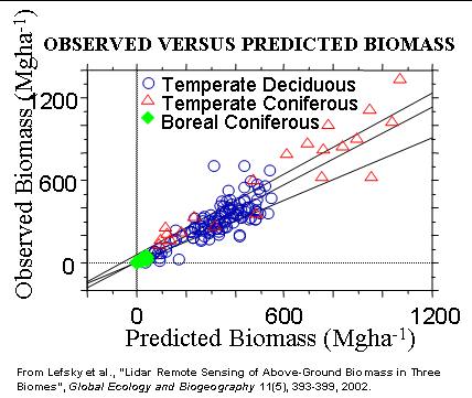 XY PLot: Observed versus predicted biomass