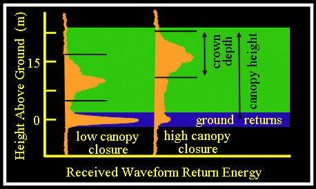 Waveform canopy measurements