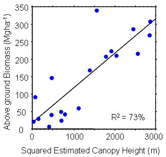 plot of Field-measured aboveground biomass vs. square of estimated canopy height